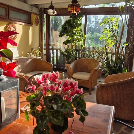 Elba-bella Casa In Campagna, Meraviglioso Giardino, Animali Ammessi Casa Alzi