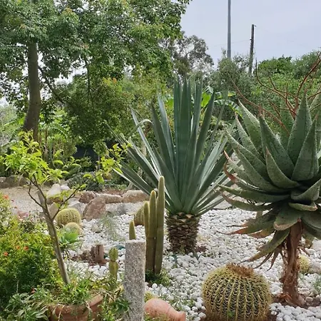 Elba-bella Casa In Campagna, Meraviglioso Giardino, Animali Ammessi