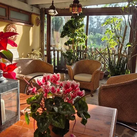 Elba-bella Casa In Campagna, Meraviglioso Giardino, Animali Ammessi * Casa Alzi