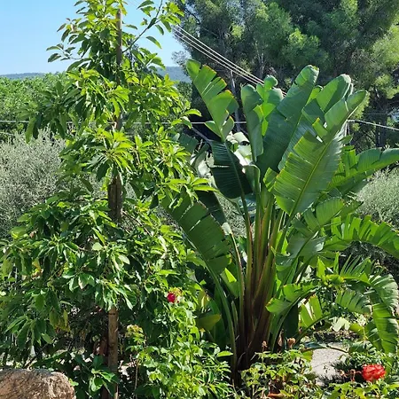 Elba-bella Casa In Campagna, Meraviglioso Giardino, Animali Ammessi 펜션